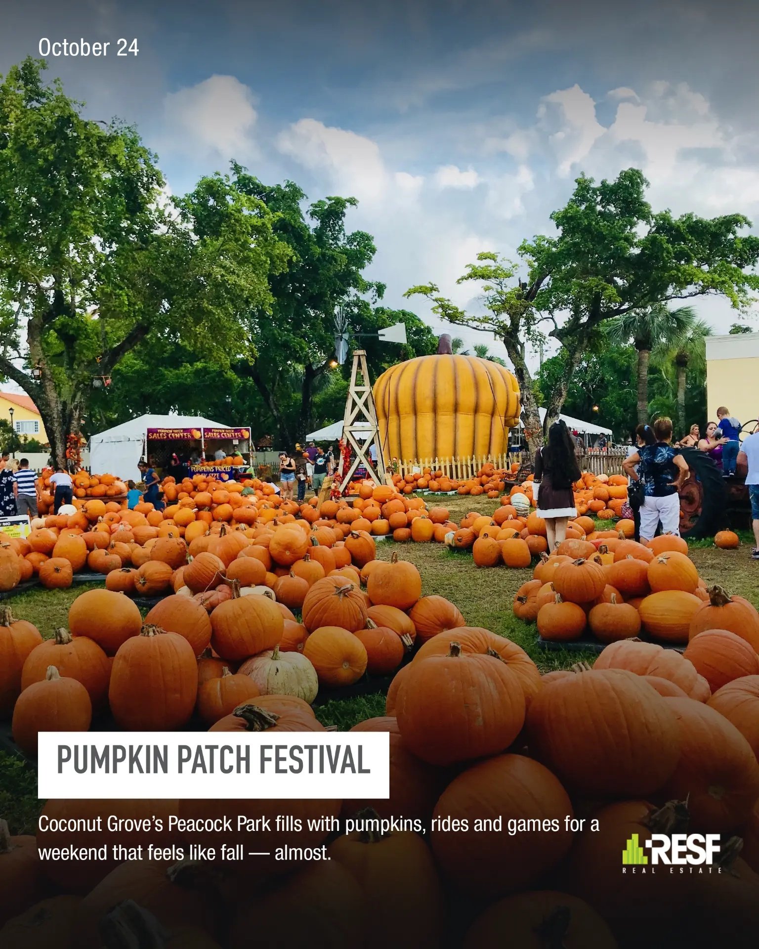 Pumpkin patch and fall activities in South Florida October 2026